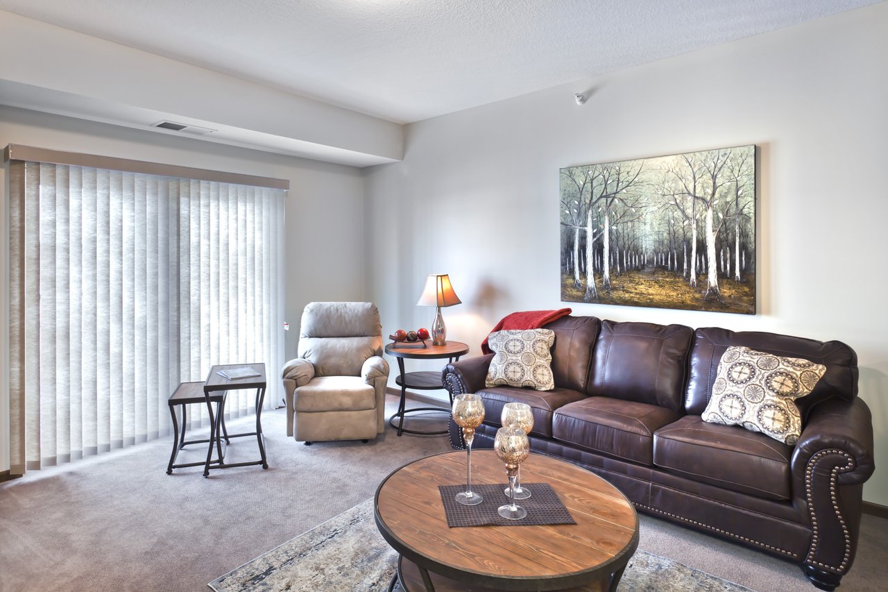 sunny living room with leather sofa