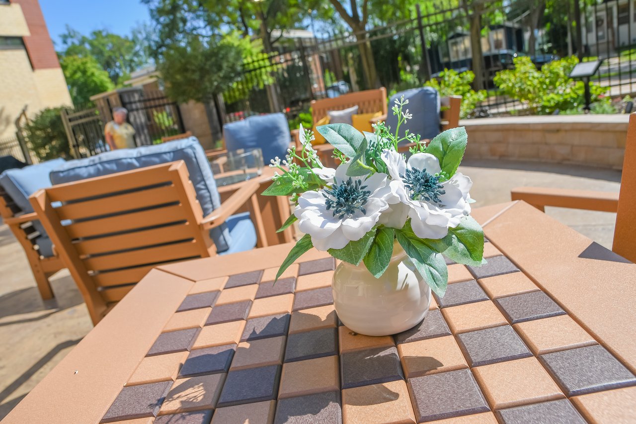 plant on table outdoors in sun